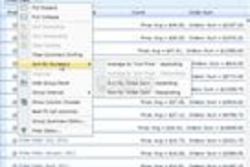 DevExpress Silverlight Controls预览：